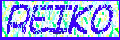 reikobnr.gif (3790 �o�C�g)